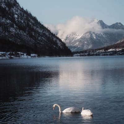 ahmetyuksek-lake-10359152_1920_pzsrmd