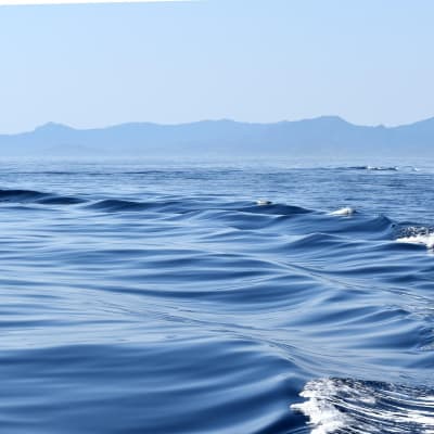 christi_j-waves-7413448_1920_onnmlm