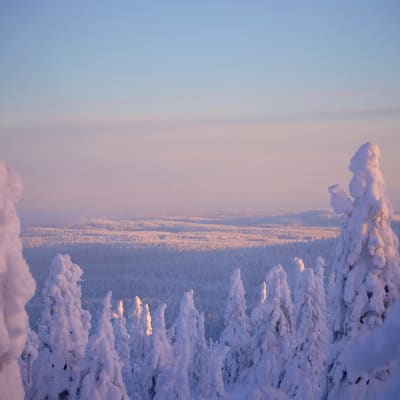 wolfgang_hasselmann-winter-landscape-10317137_1920_qlrr2l