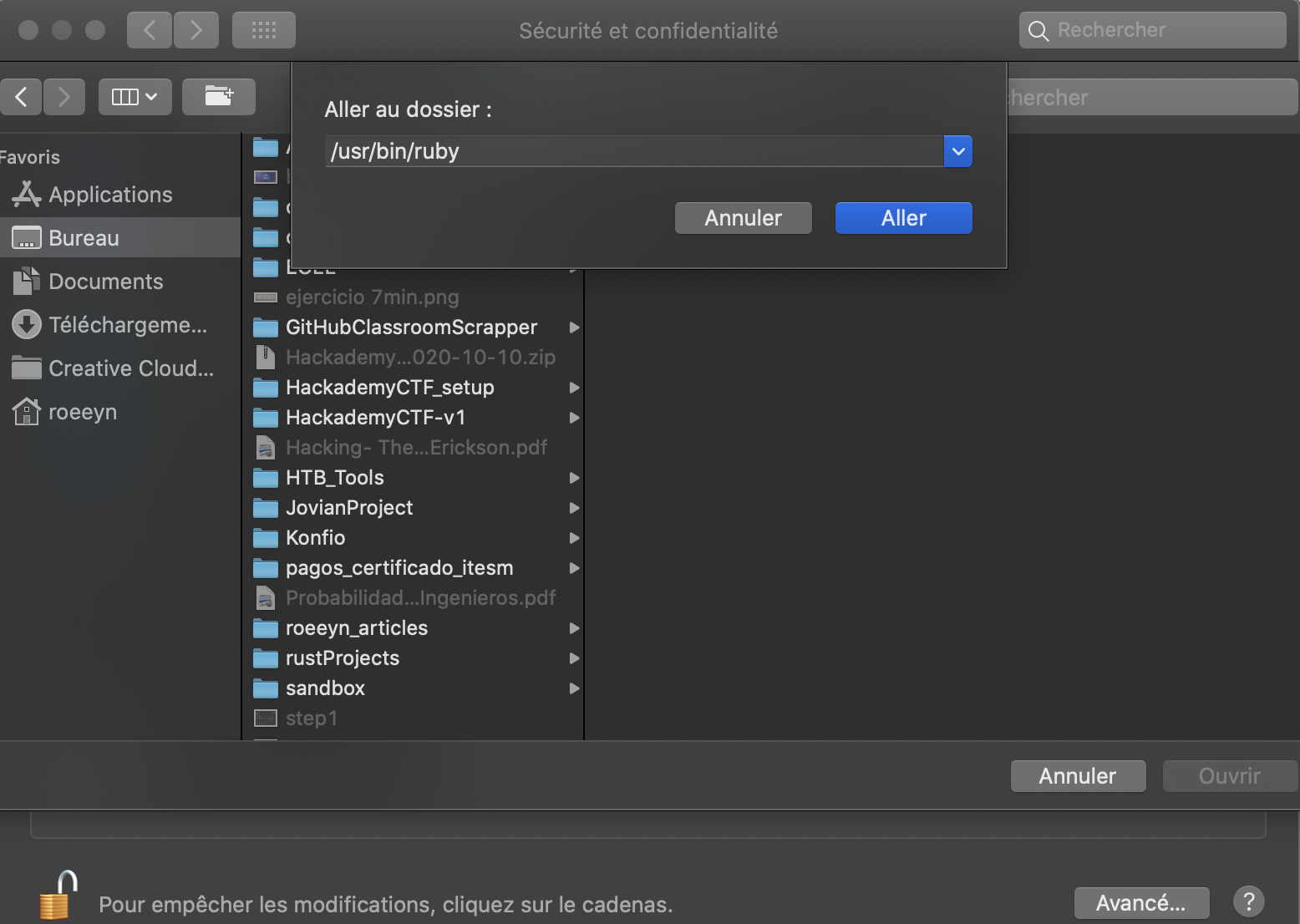 Full Disk Access Full Disk Access