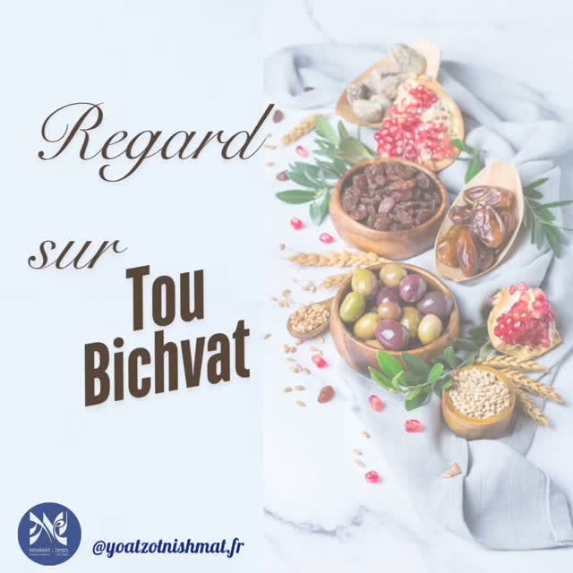 Instagram post from yoatzotnishmat.fr. This post is in position 9.