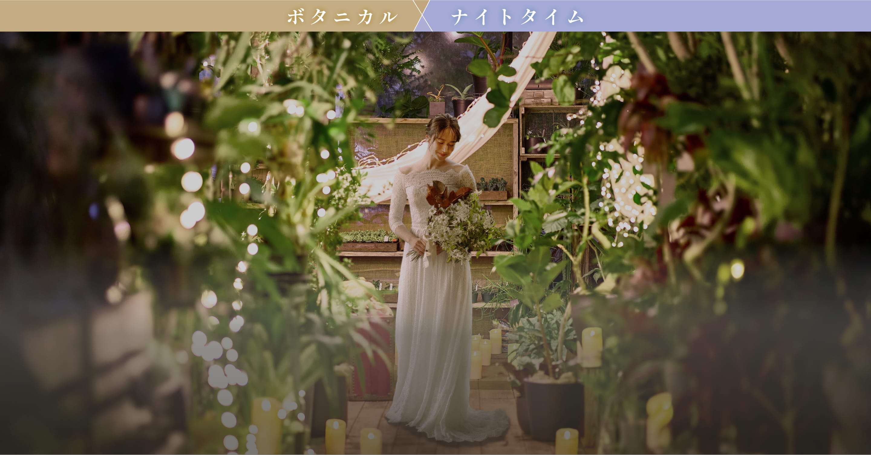 ボタニカル×ナイトタイム