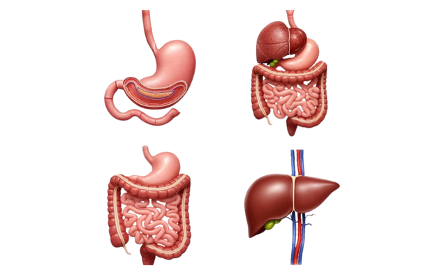 Sathish Gastro & Liver Hospital Services