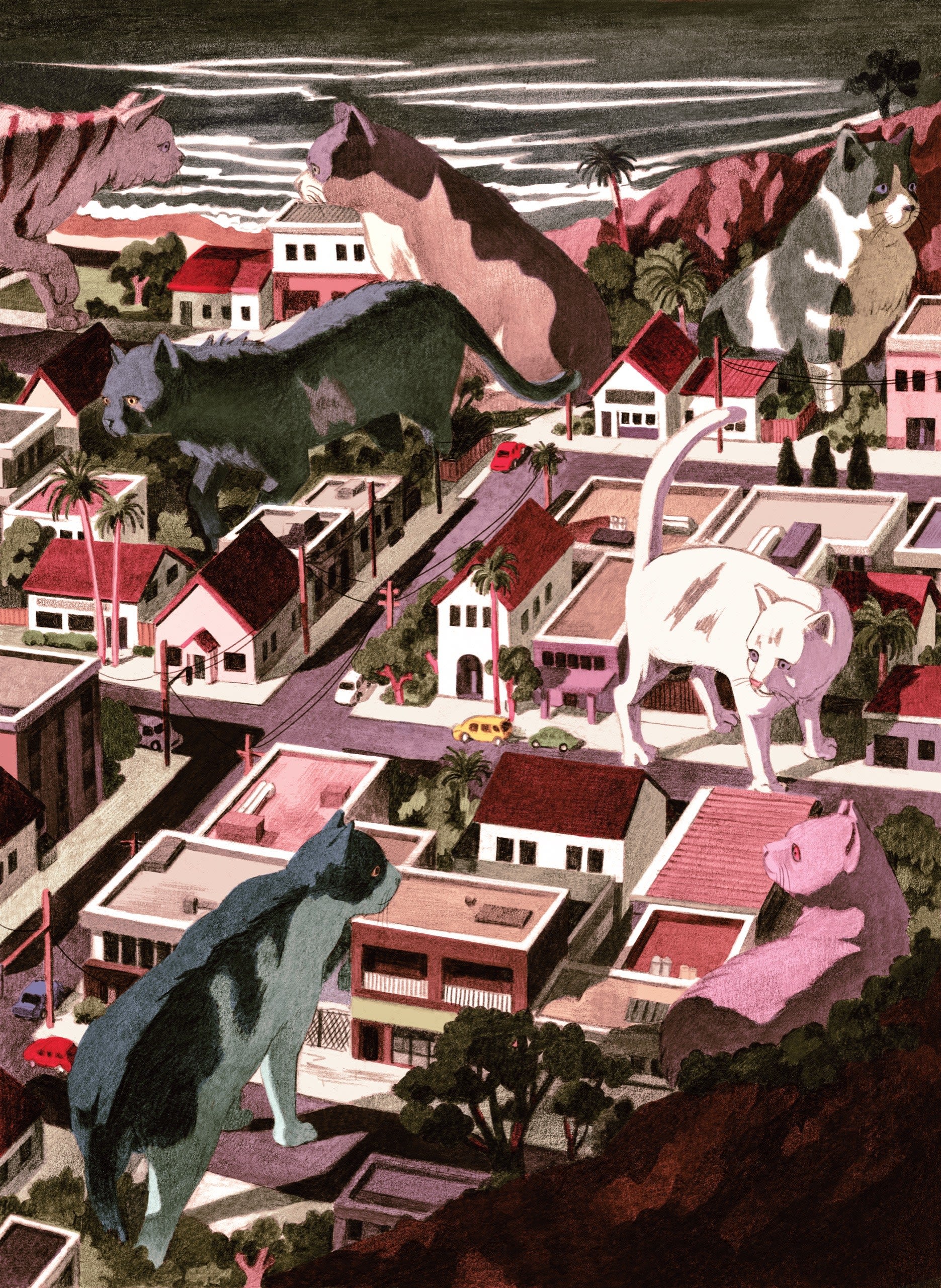 How the “No Kill” Movement Betrays Its Name