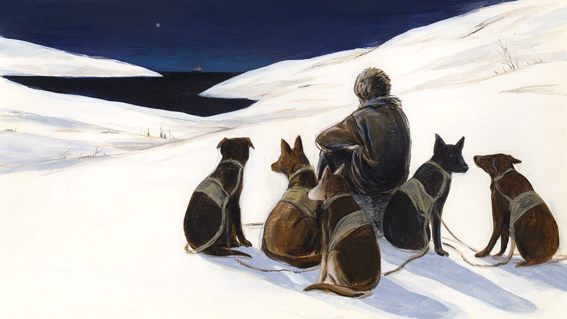 An odyssey Of The North