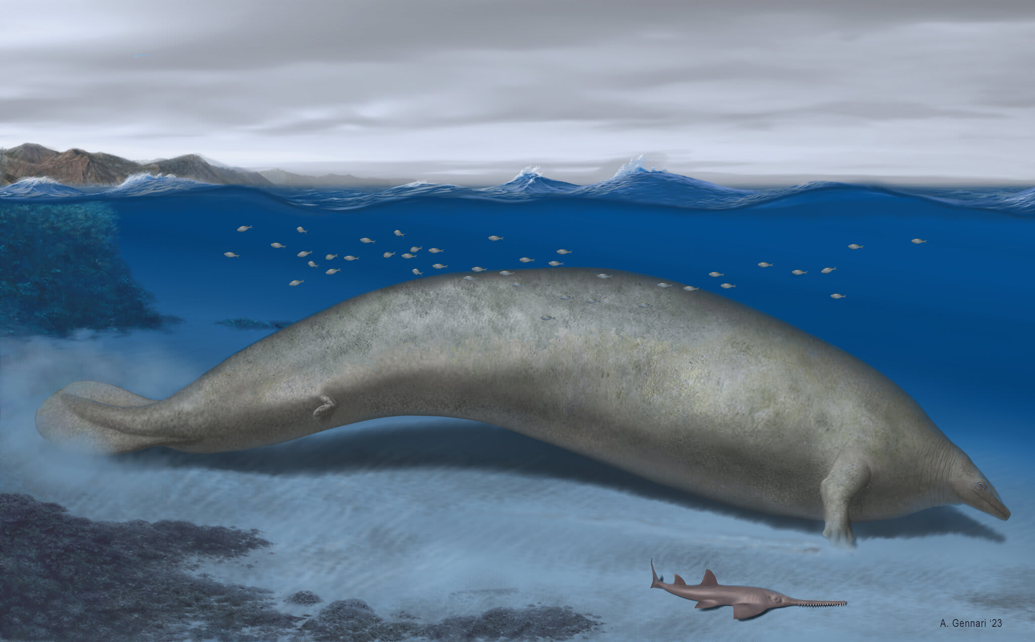 This Ancient Whale May Have Been the Heaviest Animal Ever