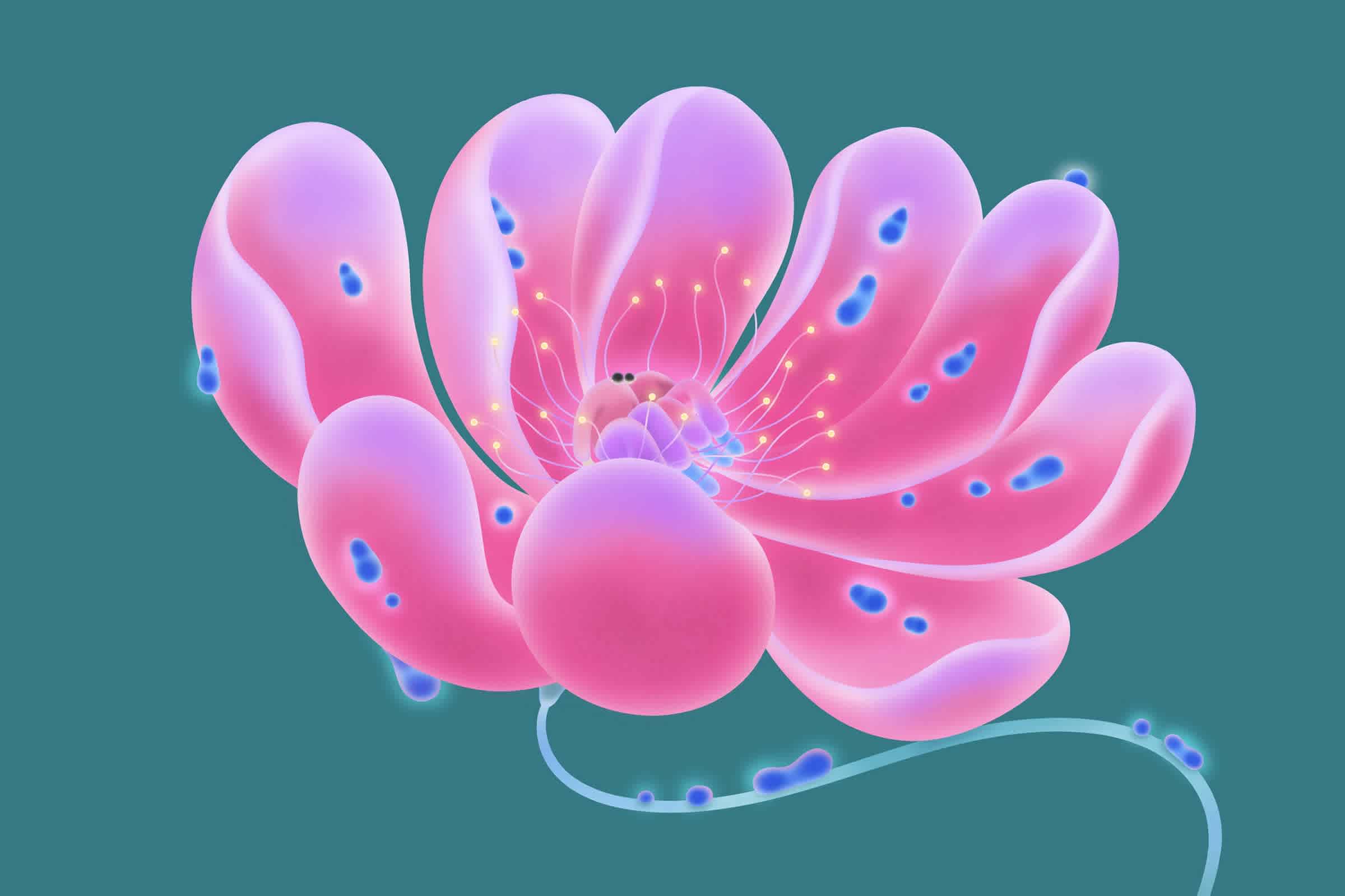 How romance authors celebrate life and love with a disability