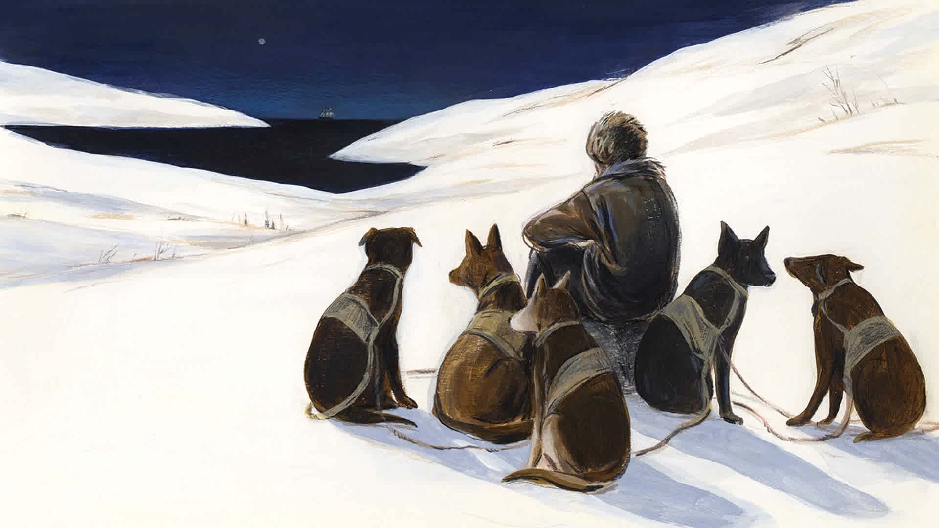 An odyssey Of The North