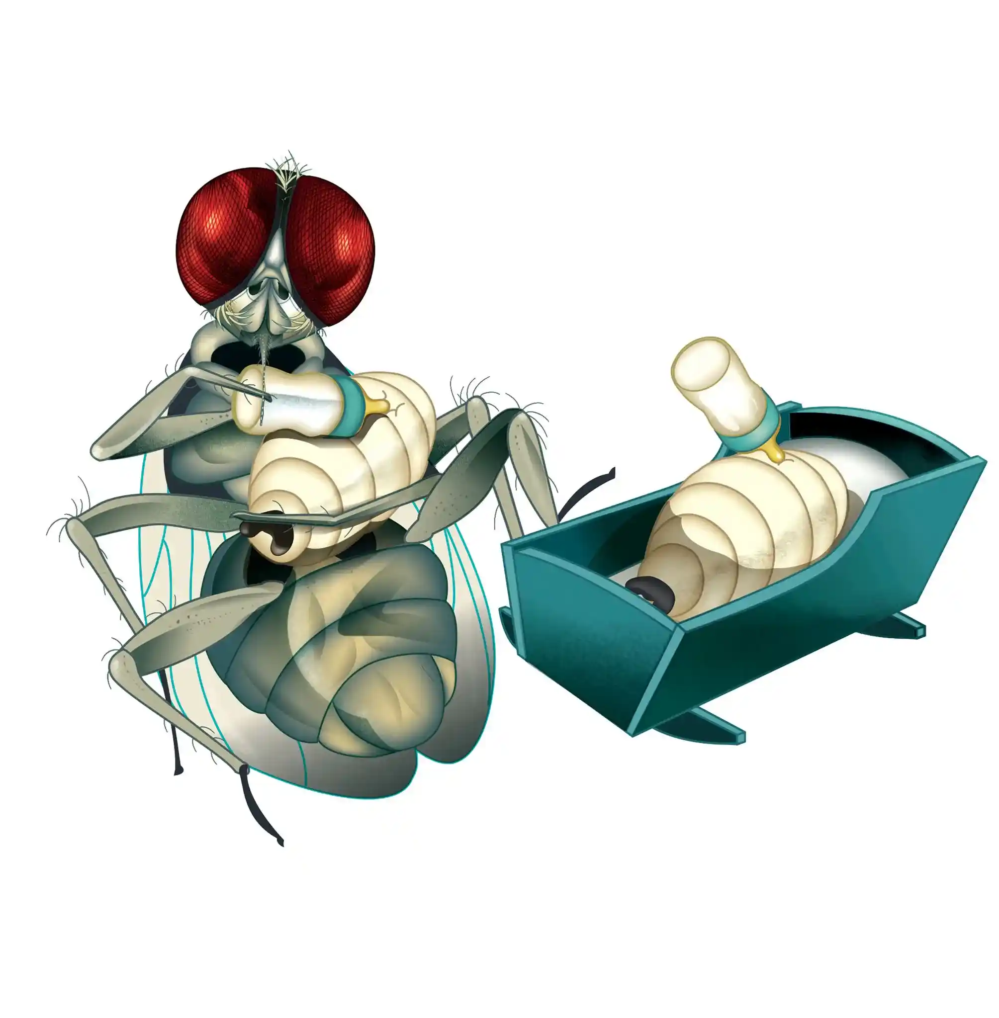 Everywhere in the Animal Kingdom, Followers of the Milky Way