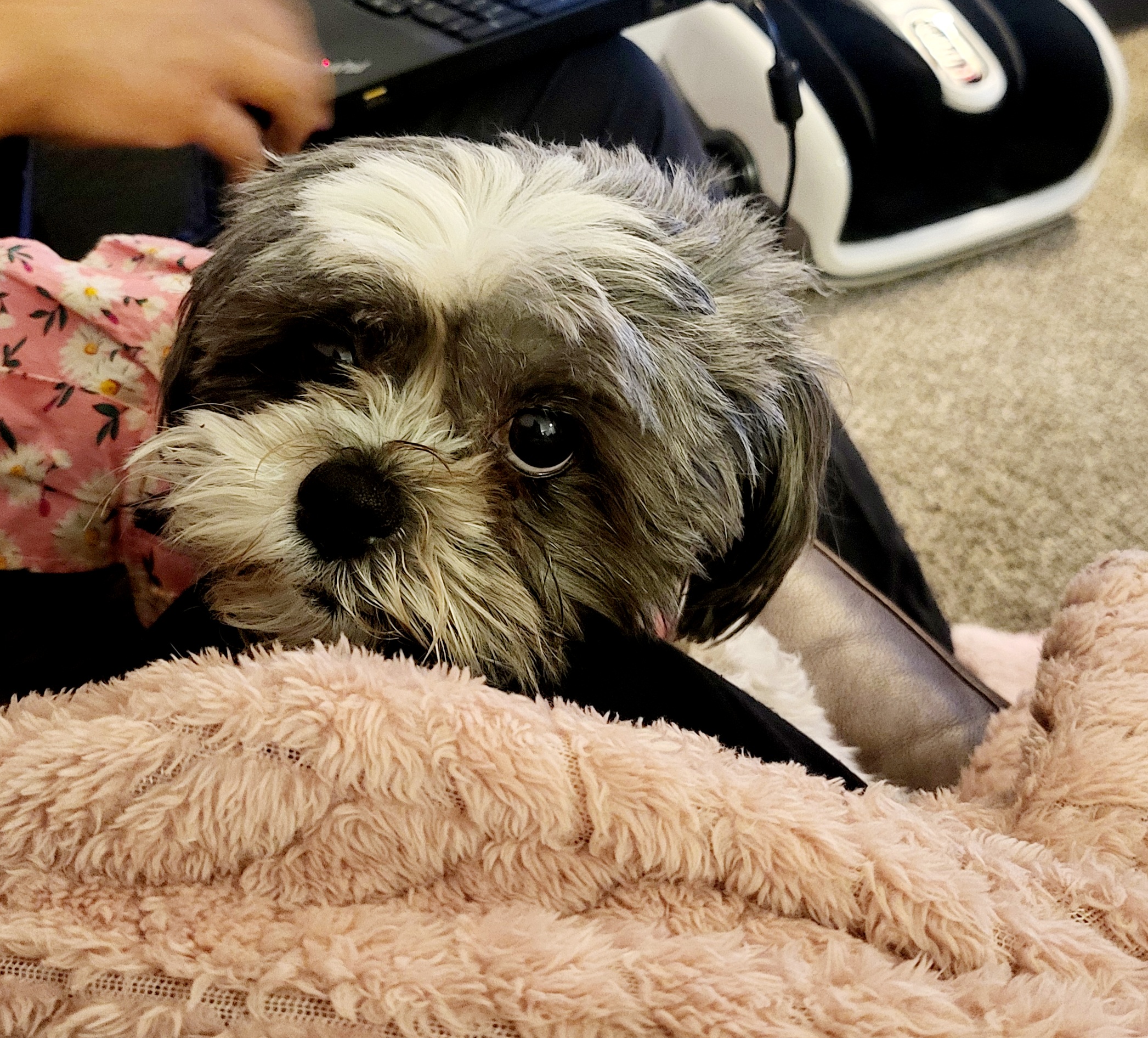 Unlimited Grace logo