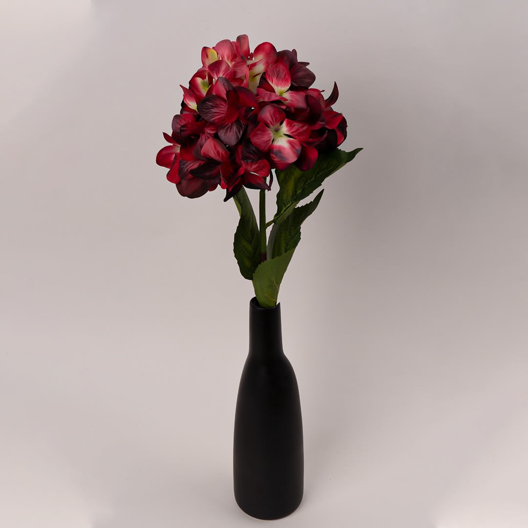 convergen digital marketing agency