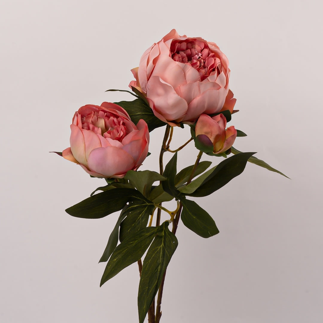 convergen digital marketing agency