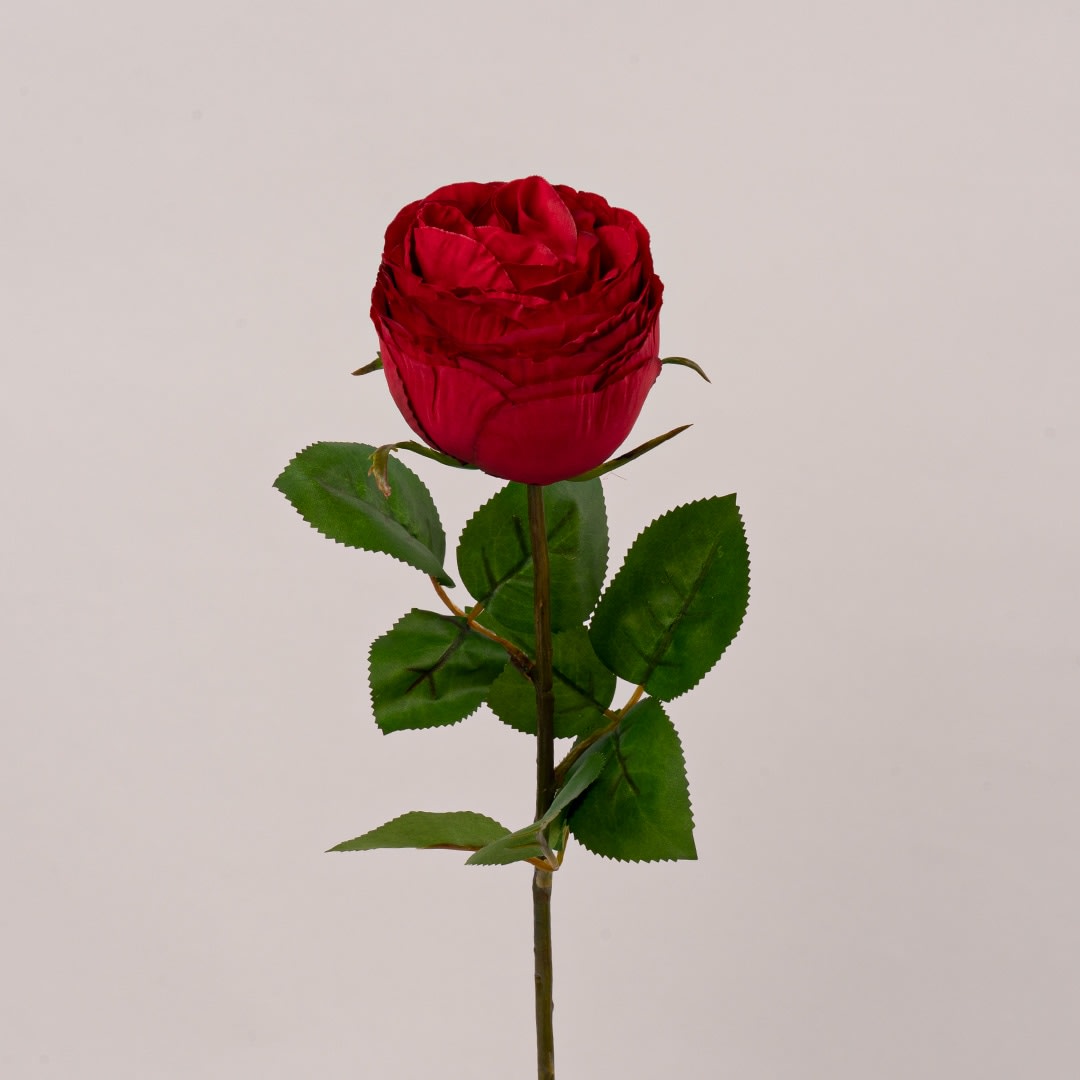 convergen digital marketing agency