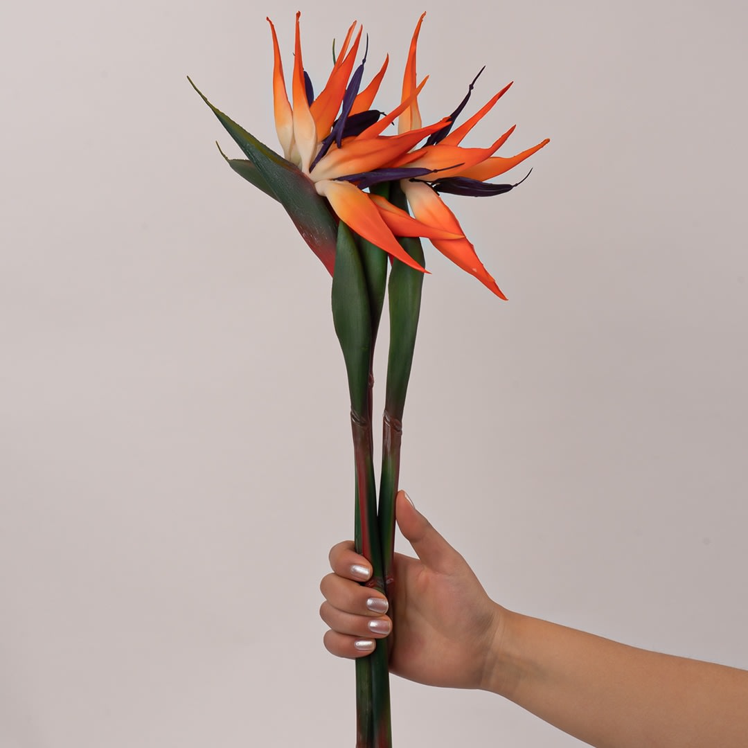 convergen digital marketing agency