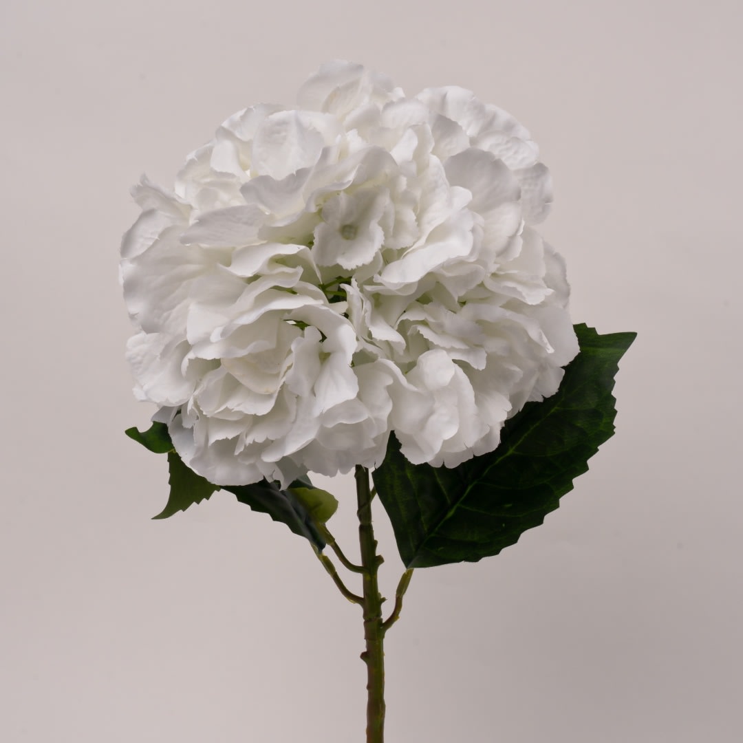 convergen digital marketing agency