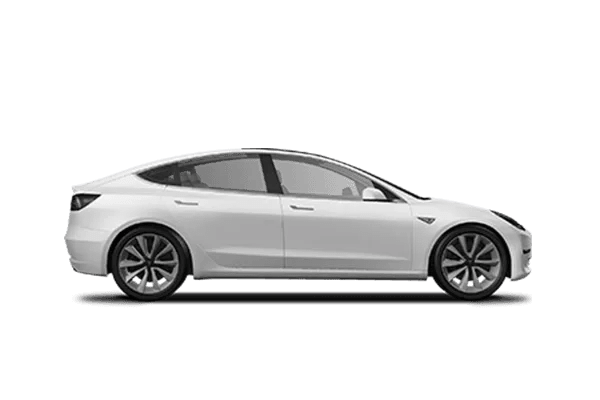 TESLA Y.png