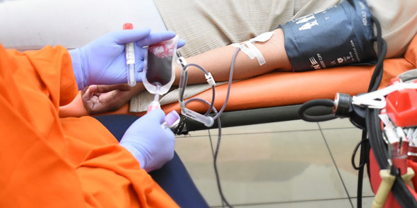 Proses Pengambilan Donor Darah