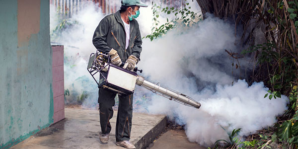 Fogging