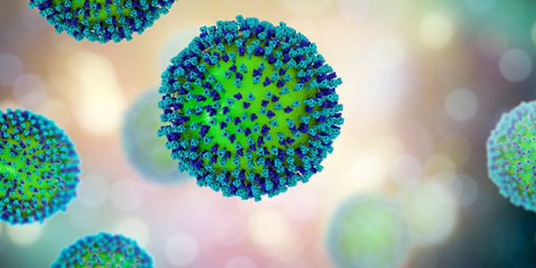 Gambar Virus Measles (Campak)