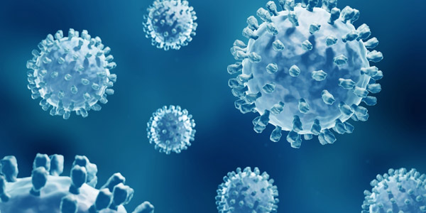 Gambar Virus Hepatitis B