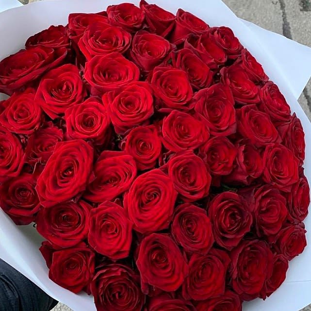 Red Roses