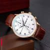Classic brown leather men’s watch in Kenya with gold case and white dial