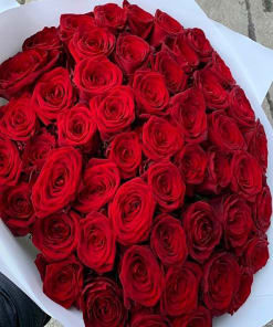 Red Roses