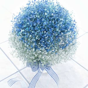 Baby's Breath Bouquet, gypsophila