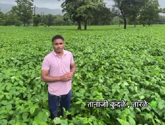 Mr. Tanaji Kudale