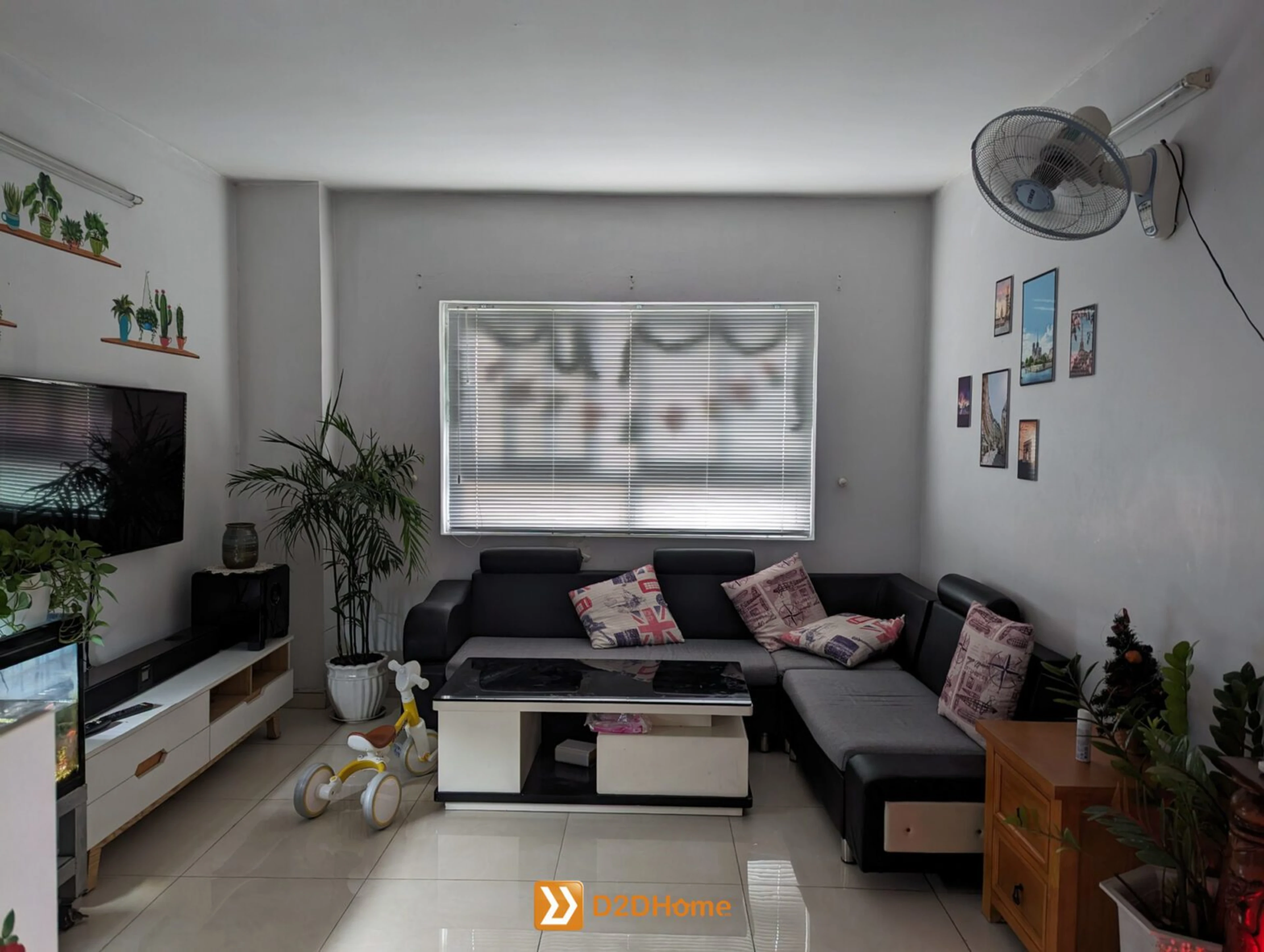 d2dhome 10