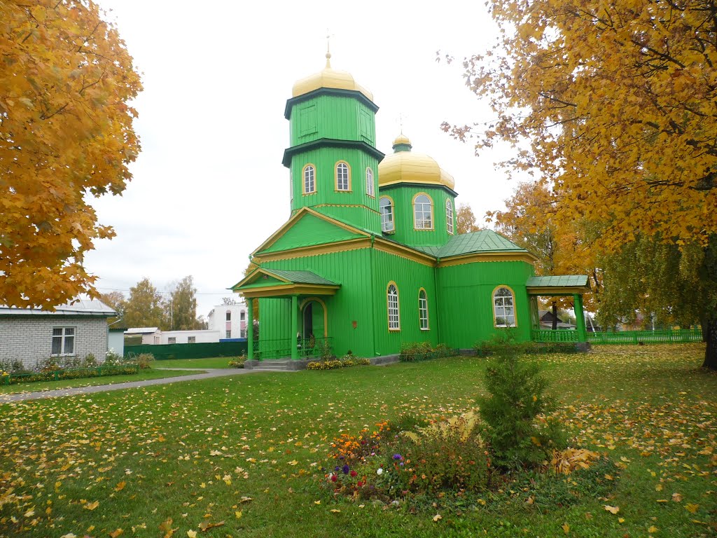 Фото быхова могилевской области