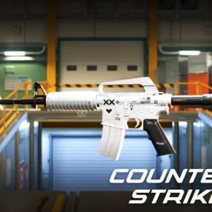 Counter-Strike 2 Skins