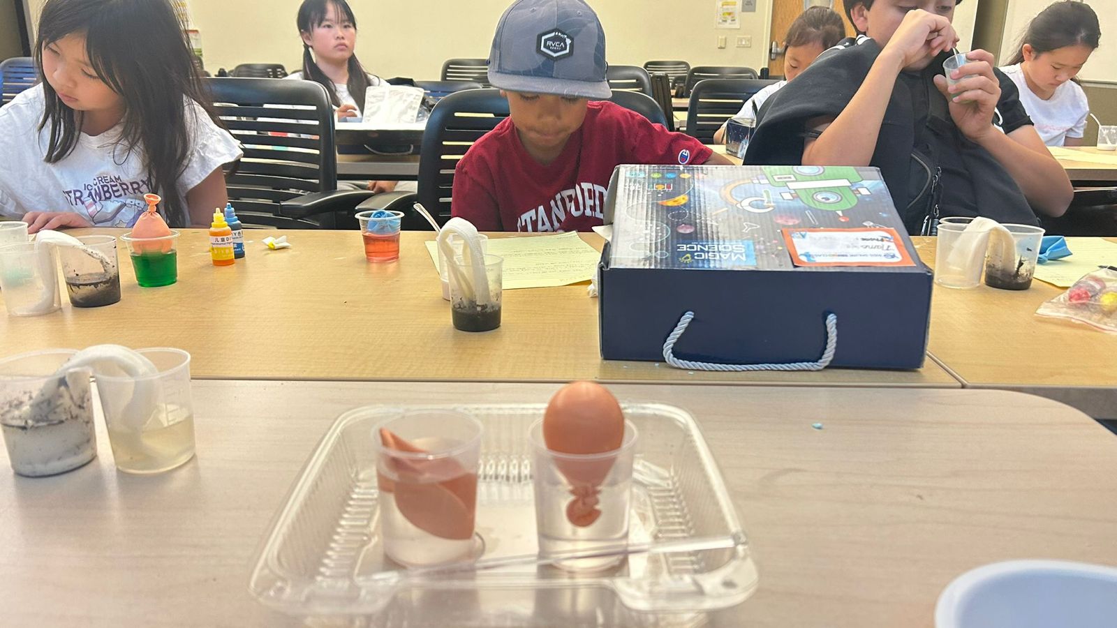 Students collaborating in STEM