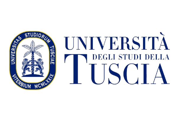 International Merit Scholarship