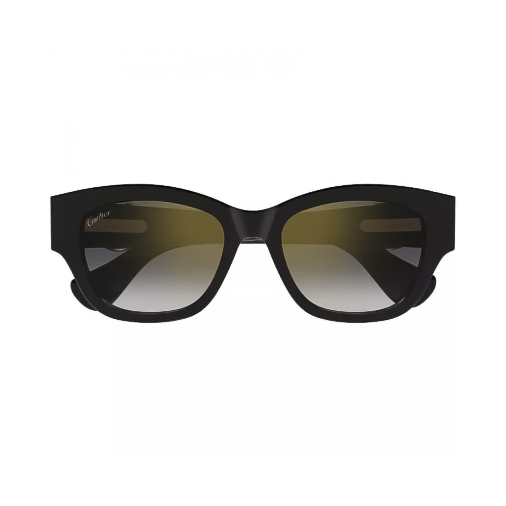 cartier-ochelari-de-soare-femei-negru-rectangulari-55-ct0548sa-001-301161-2.png 8afcb6deb50f4d72c16951fd4aea8059
