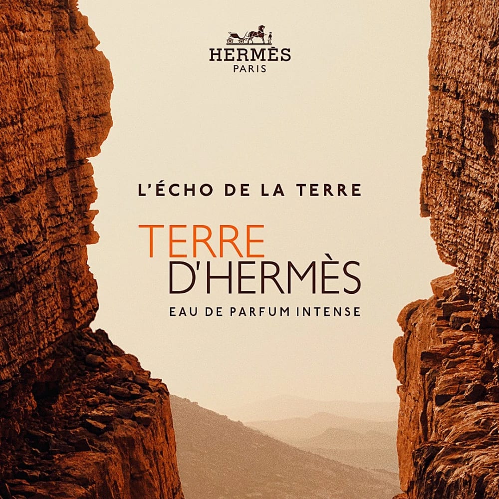 hermes-terre-dhermes-eau-de-parfum-intense-refillable-masculin-100ml-parfum-301897-5.png bebccdc4b0b6470f6b5bb7b328ca8583