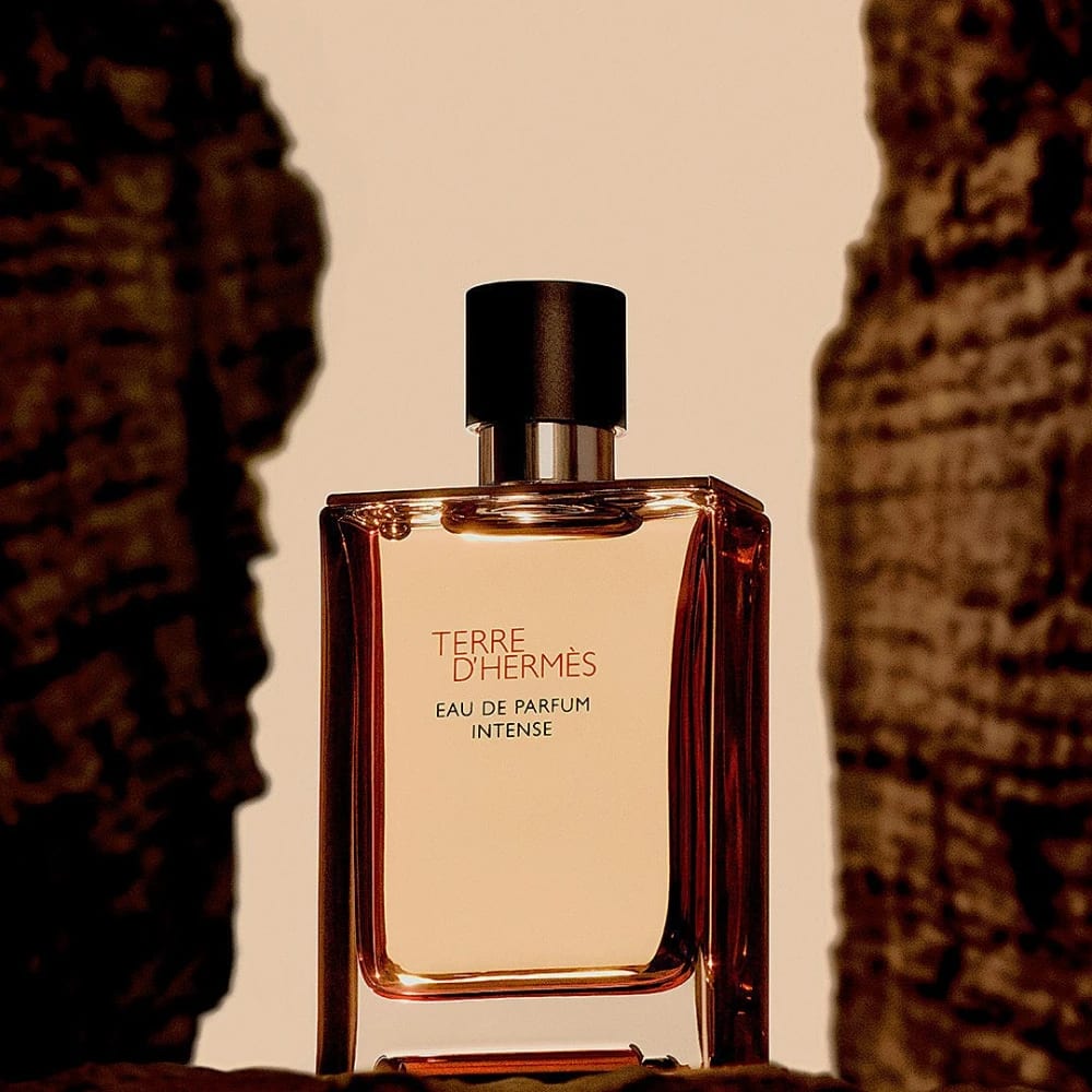 hermes-terre-dhermes-eau-de-parfum-intense-refillable-masculin-100ml-parfum-301897-4.png 77f50841e19c9d4dd33769d0dad04065
