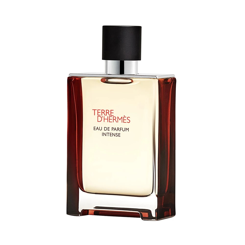 hermes-terre-dhermes-eau-de-parfum-intense-refillable-masculin-100ml-parfum-301897-2.png 243e16c074ac6a09ce1b1d6f377d74ab