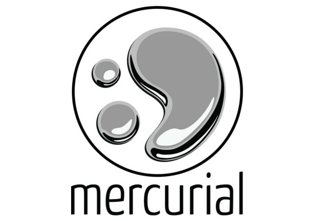 https://res.cloudinary.com/dmsxwwfb5/image/upload/v1612786687/mercurial-version-control-min.jpg