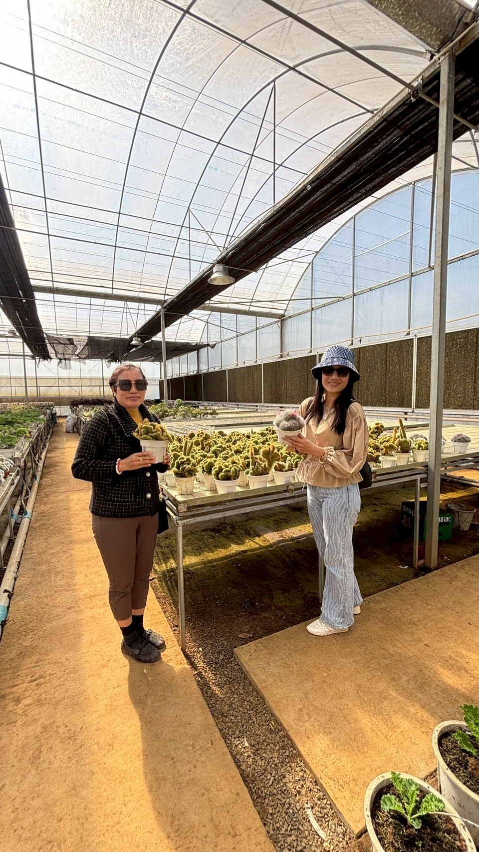 Scenic travel photography