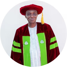 Prof. (Engr) Olugbenga 