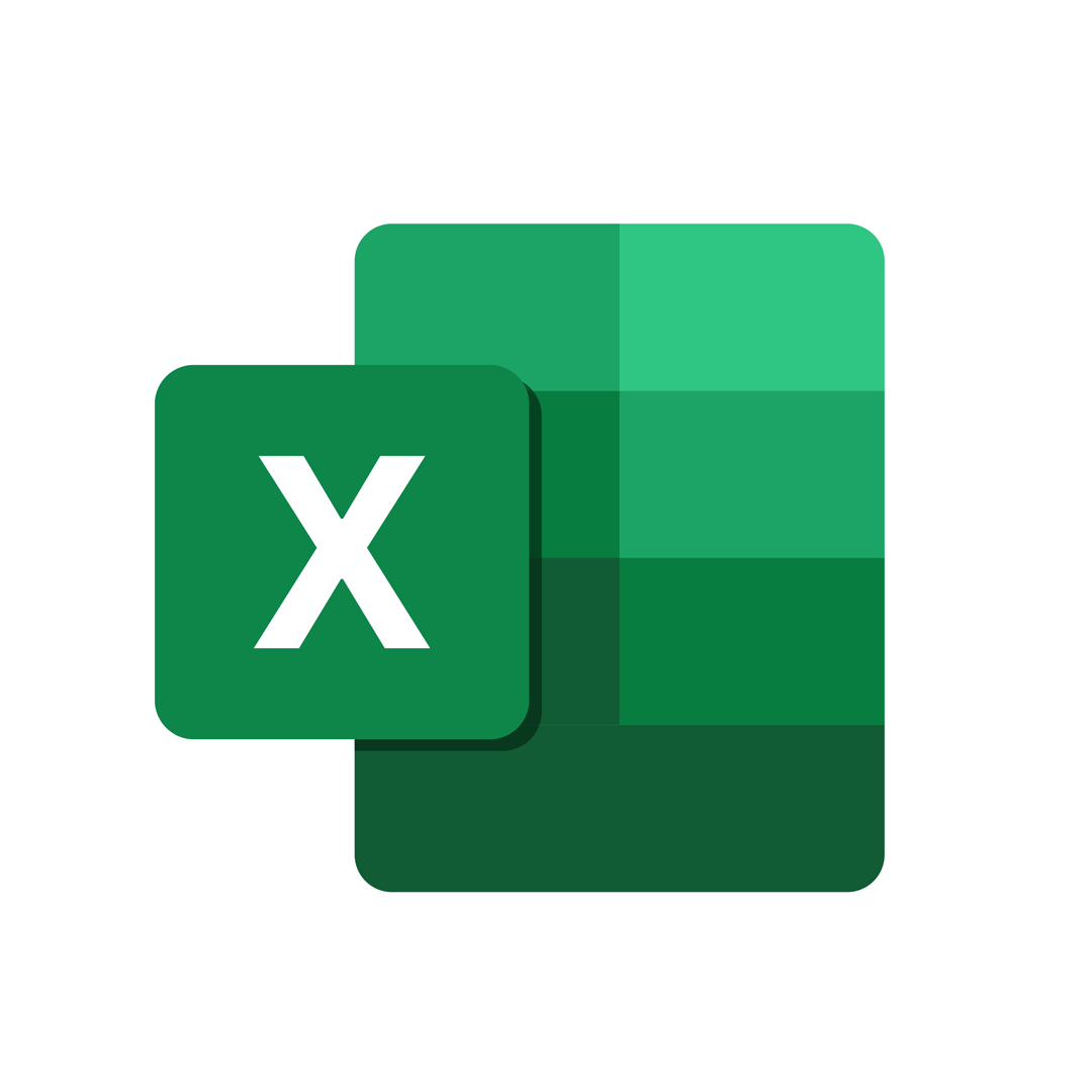 Microsoft Excel