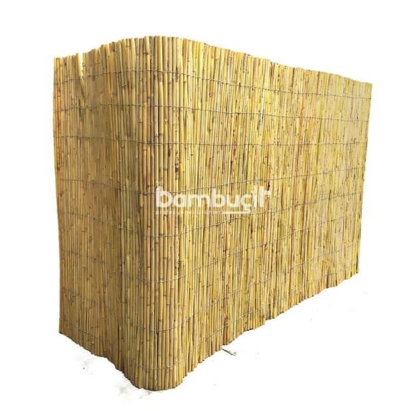 Bambu Paravan