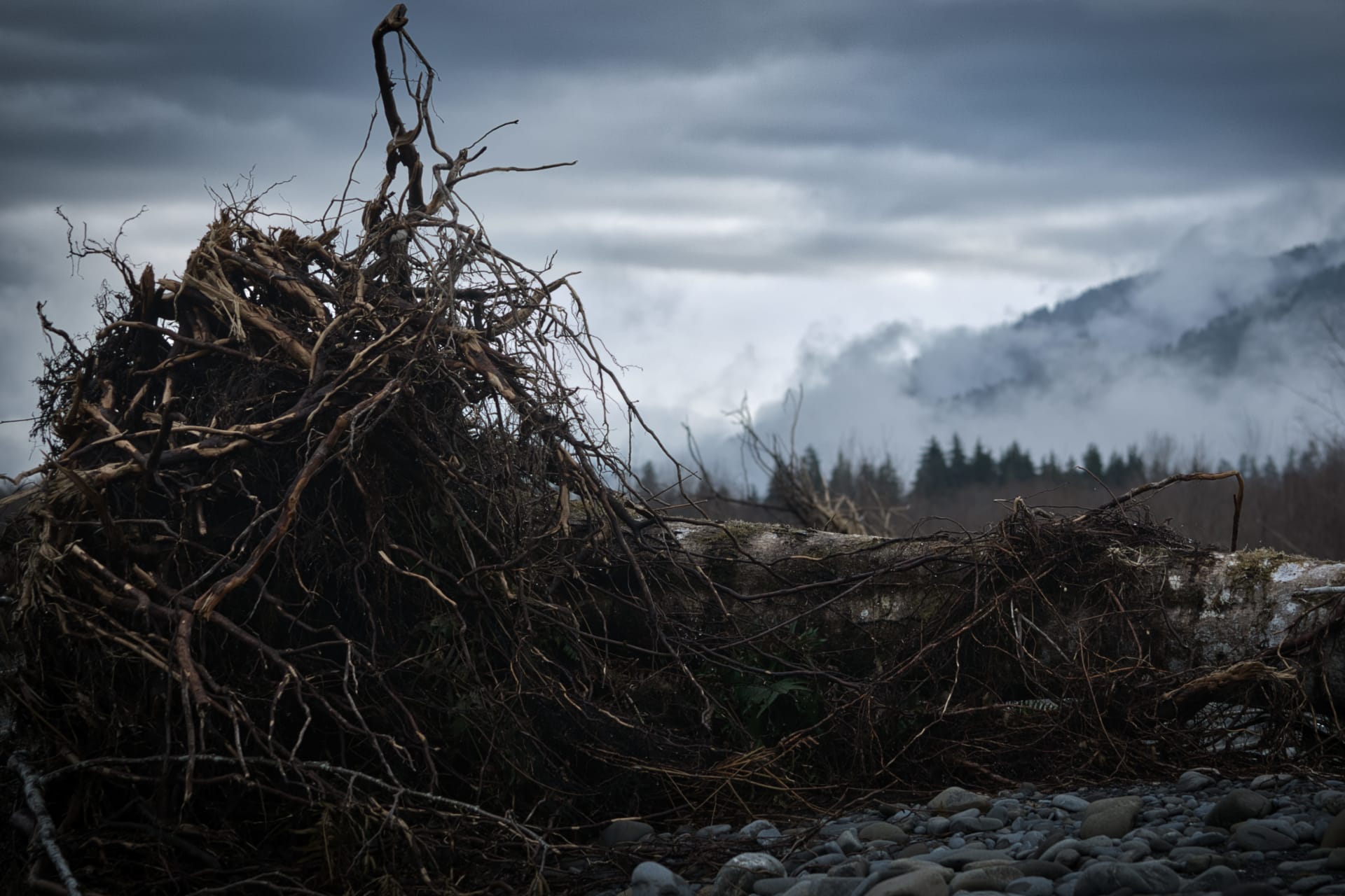 Michigan Stock Photography — Wander Web Design