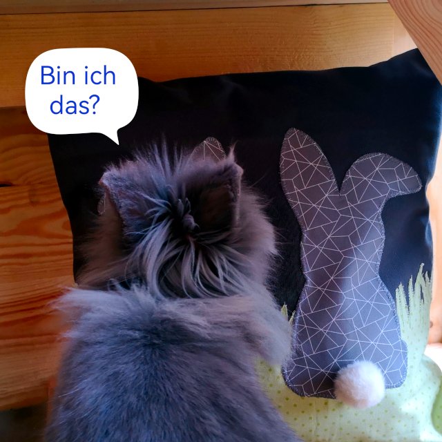 abschnitt-12 – Bild 5