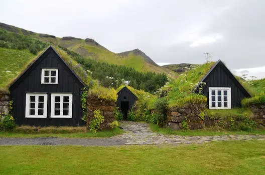 Harness the Benefits of Green Roofs for a More Sustainable Future