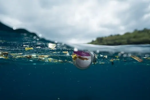 Taking Action Against Marine Plastic Pollution