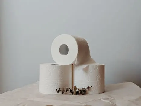 The Different Types of Eco Friendly Toilet Paper