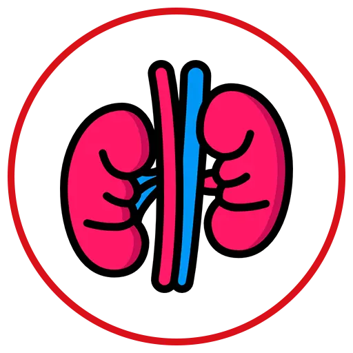 Insuficiência Renal