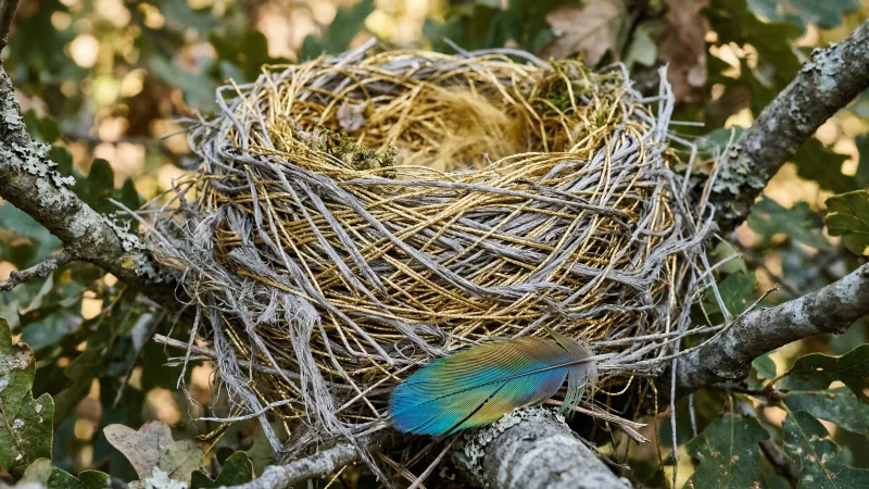 Ilustração: rede de fios representando o perfeccionismo e seus impactos.